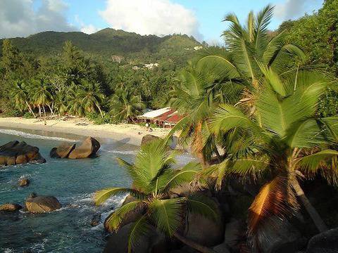 Забавните неща в интернет - видео, снимки, статии, вицове, класации и други!: Сейшелските острови