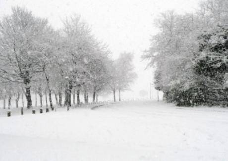 Сняг и студ вилнеят в Западна Европа