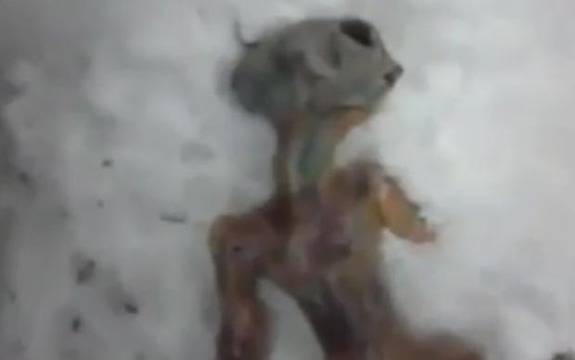 Body of 'dead alien' found in Siberia