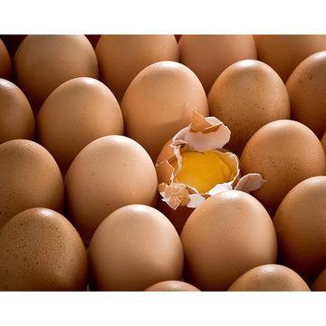 Не вярвайте на лошата слава на яйцето