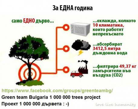 Blog Action Day 2012: The Power of WE – Представяне на Зеленият отбор на България и проект „1 МИЛИОН“