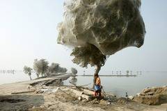 Знаете ли защо дърветата в Пакистан са покрити с паяжини?