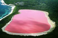 Защо розовото езеро “Хилиър” в Австралия е розово?