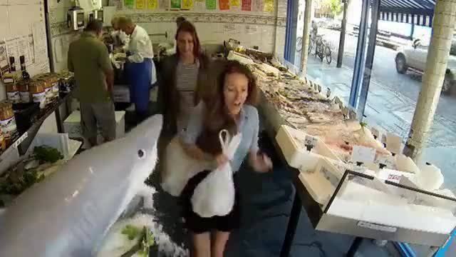 Акула атакува хората - Шега / Скрита камера