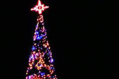 Кметът Детелина Николова ще запали светлините на коледната елха на 1 декември