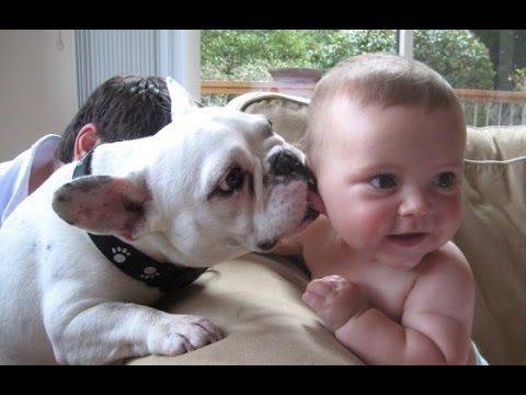Funny Babies Laughing While Sleeping Compilation 2014 [NEW HD]