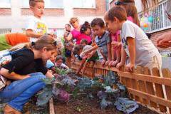 Празници на реколтата подготвят детски градини в София