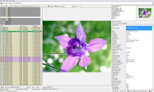 WildBit Viewer – опростен редактор на изображения