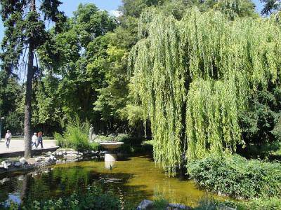 Ремонтират водните площи и фонтаните в Цар-Симеоновата градина в Пловдив