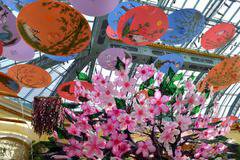 Japanese Spring Garden at Bellagio 2015
