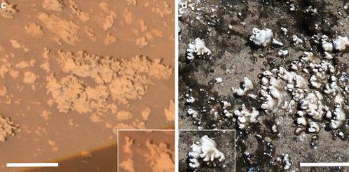 Американски учени смятат, че марсоходът Спирит може да е открил биомаркер от минал живот на Марс!