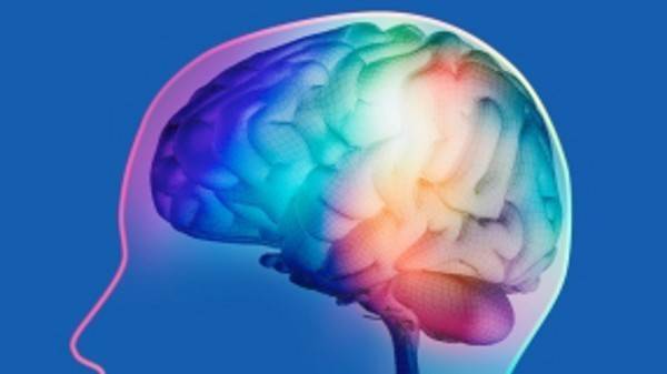 5 съставки, които тровят мозъка ви - ЛЮБОПИТНО | БГ Топ 100 класация на сайтове
